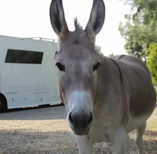 Εξοχικό σπίτι Ortali Quarata